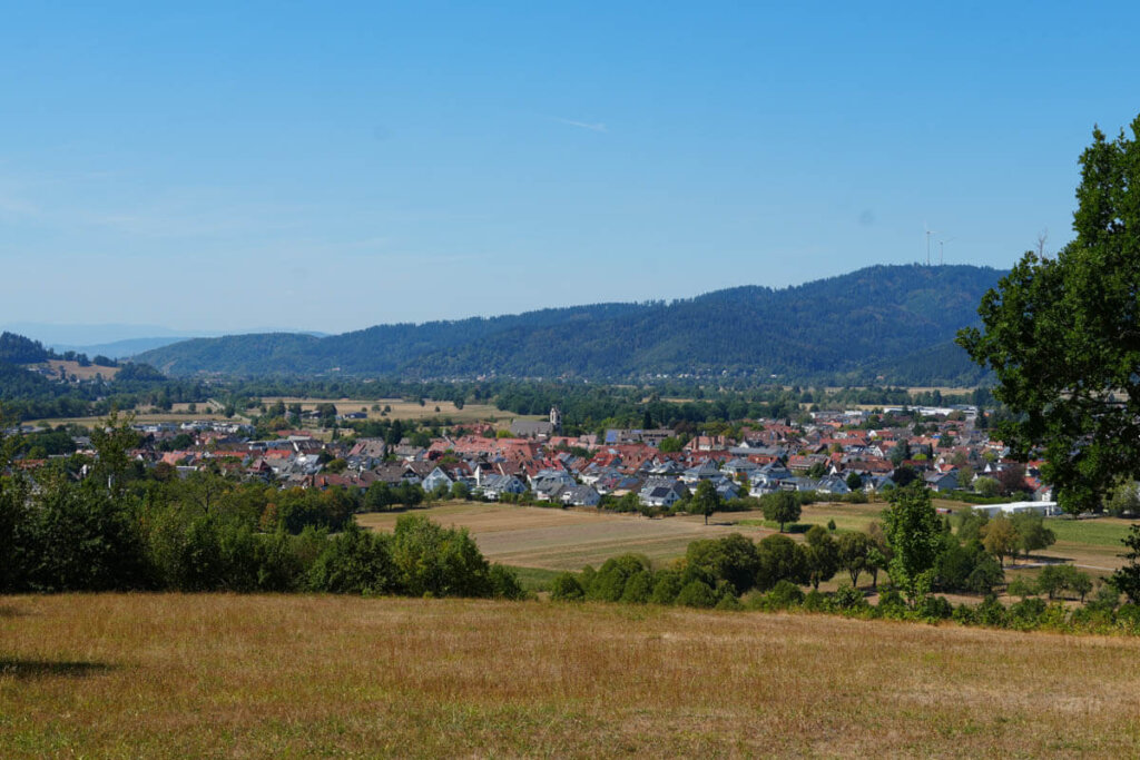 Blick über das sonnige Dreisamtal mit Kirchzarten