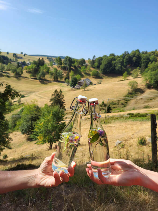 Wir genießen Schwarzwald-Kräuterwasser bei der Kräuterführung am Schauinsland