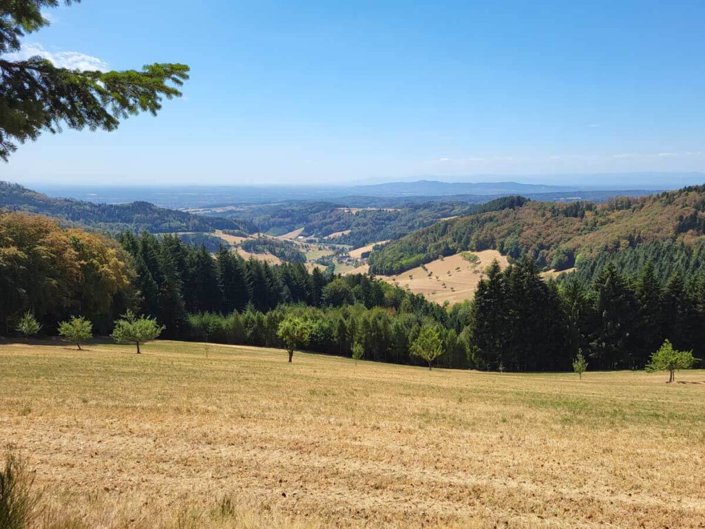 Weitblick über Schwarzwald, Kaiserstuhl & Vogesen auf dem Panorama-Wanderweg Freiamt