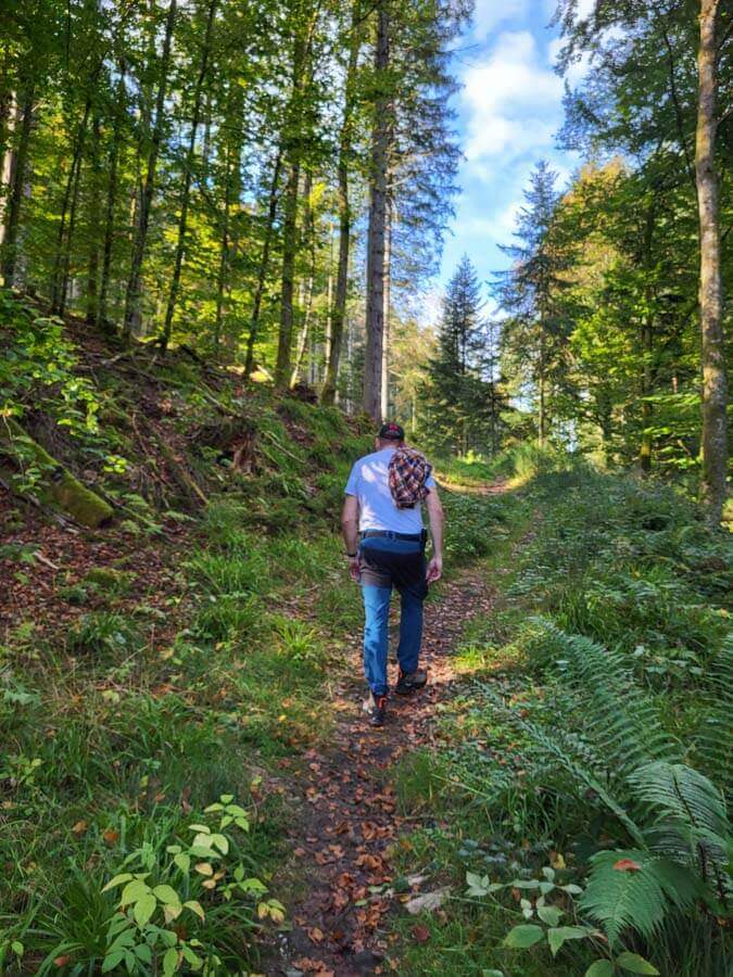 Aufstieg von Bad Wildbad durch das wilde Rennbachtal auf der Schwarzwald Wanderung "Renn, Walter Speer, renn!"