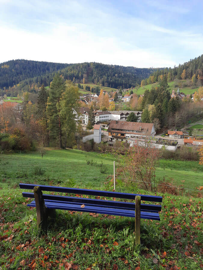 Ausblick auf Enzklösterle von einer der heidelbeerblauen Bänke