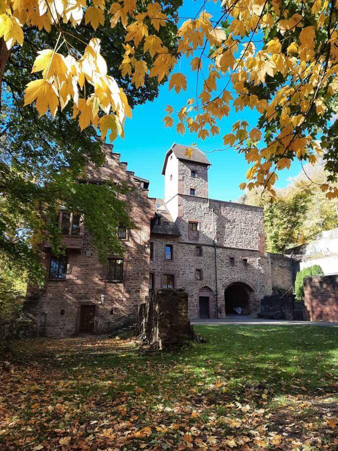 Auf dem Kapellenweg Biet: Burg Steinegg im Herbstkleid