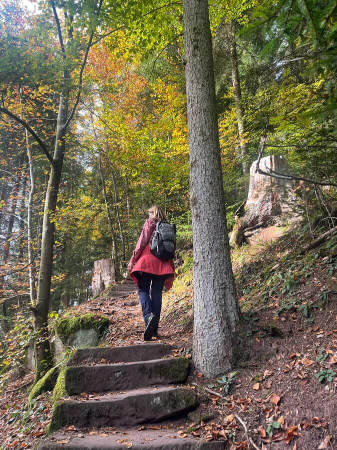 Wanderung auf der historischen Mathildenstaffel Bad Teinach