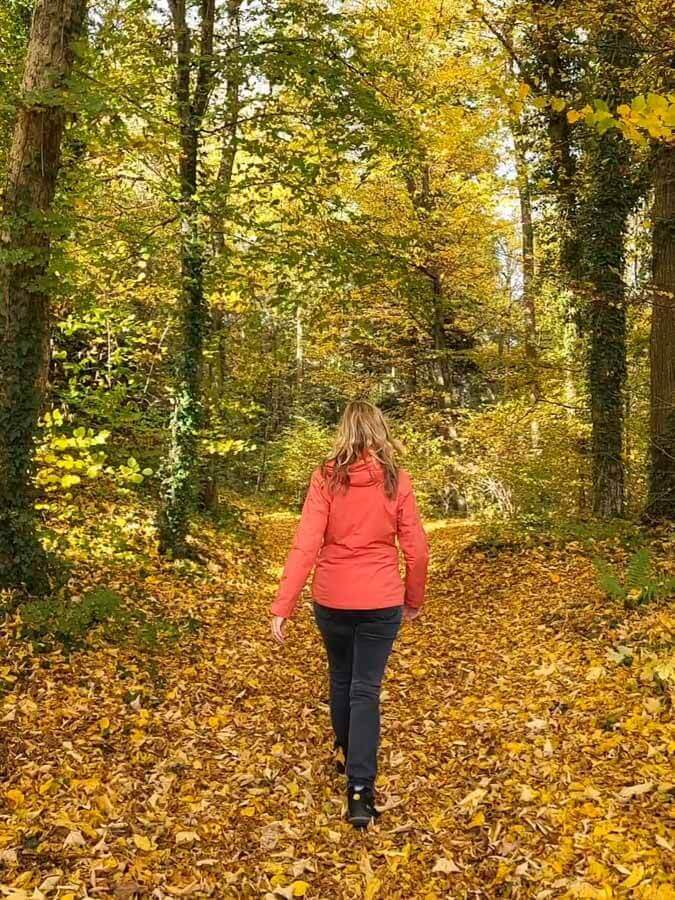 Im Herbst ist der Schwarzwald ganz schön bunt
