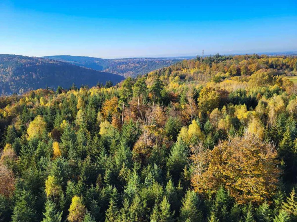 Blick über den herbstlichen Schwarzwald bei Hohenwart