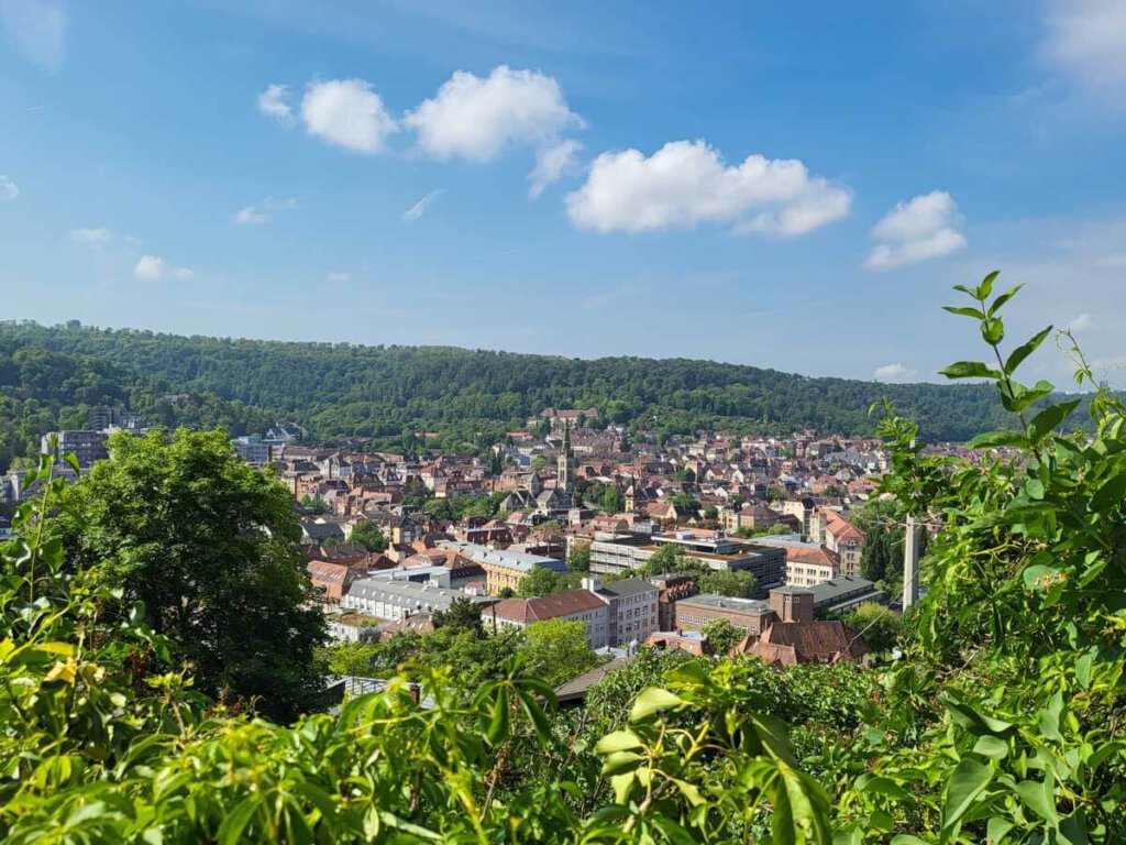 Blick auf den Süden im Stuttgarter Kessel